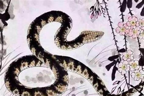 七畫 1977蛇